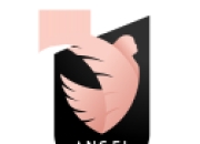 开云APP:NWSL MVP追踪2.0：汤普森能跟上德宾哈，卡斯卡里诺和公司吗？
